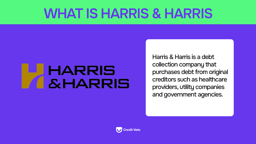 Digital illustration of an infographics explaining what harris and harris is all about.